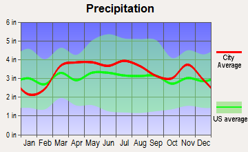 Sauget, Illinois average precipitation
