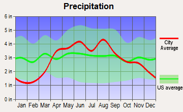 Steward, Illinois average precipitation