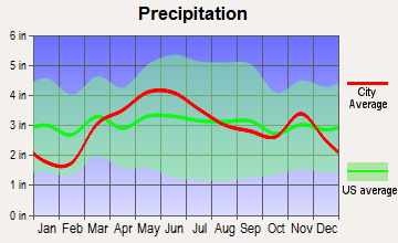 Taylorville, Illinois average precipitation
