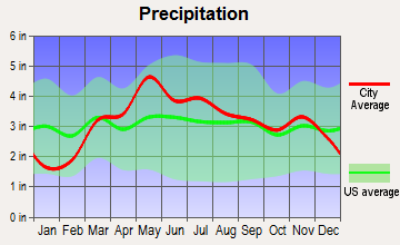Virginia, Illinois average precipitation