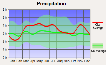 Baldwin, Illinois average precipitation