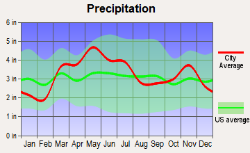 Beecher City, Illinois average precipitation