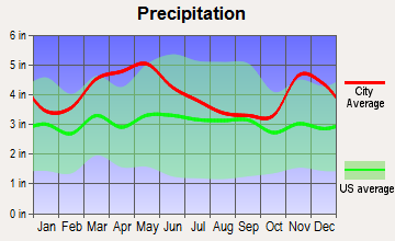 Belknap, Illinois average precipitation