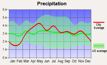 Bluffs, Illinois average precipitation