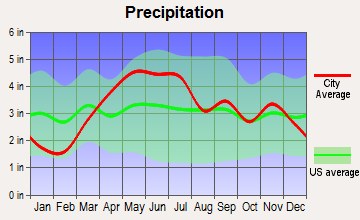 Bourbonnais, Illinois average precipitation
