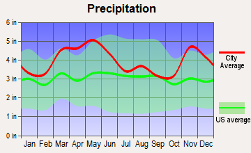Buncombe, Illinois average precipitation
