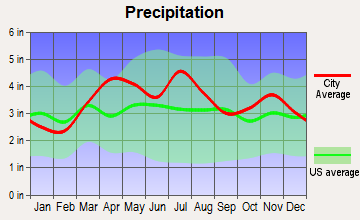 Casey, Illinois average precipitation