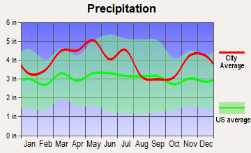 Cave-In-Rock, Illinois average precipitation
