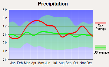 Central City, Illinois average precipitation