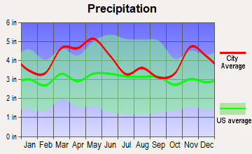 Cobden, Illinois average precipitation