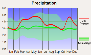 Crainville, Illinois average precipitation