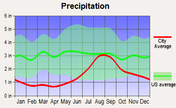 Lime Village, Alaska average precipitation