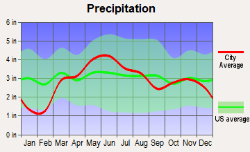 Dwight, Illinois average precipitation