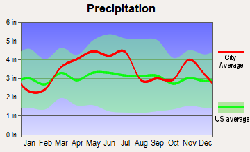 Effingham, Illinois average precipitation