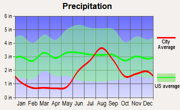 Mountain Village, Alaska average precipitation
