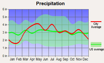 Griggsville, Illinois average precipitation