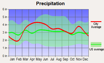 Hillsboro, Illinois average precipitation