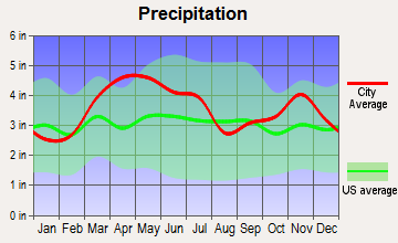 Junction City, Illinois average precipitation