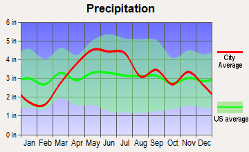 Kankakee, Illinois average precipitation