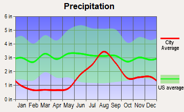 Newtok, Alaska average precipitation