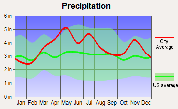 Bruceville, Indiana average precipitation