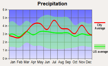 Dugger, Indiana average precipitation