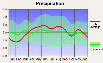 Hudson, Indiana average precipitation