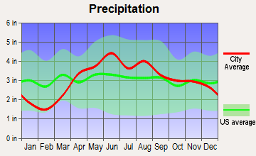 Leesburg, Indiana average precipitation