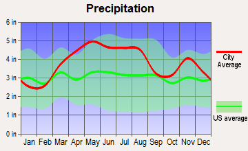 Spencer, Indiana average precipitation