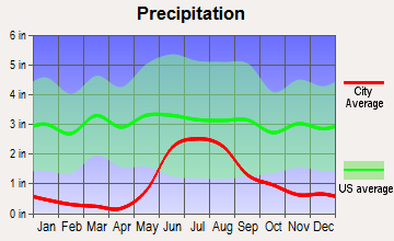 Salcha, Alaska average precipitation