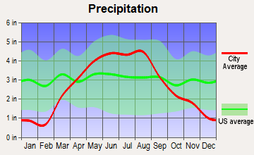Palmer, Iowa average precipitation