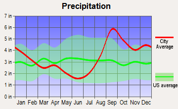 Sunrise, Alaska average precipitation