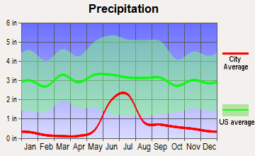 Tok, Alaska average precipitation