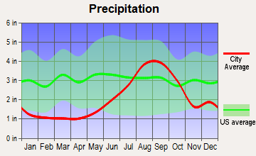 Y, Alaska average precipitation