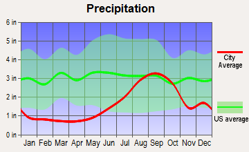 Big Lake, Alaska average precipitation