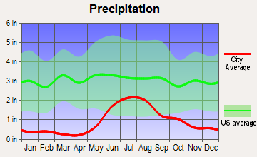 Chalkyitsik, Alaska average precipitation