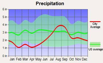Dillingham, Alaska average precipitation