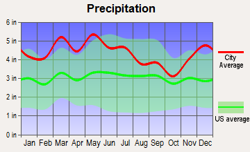 Bradfordsville, Kentucky average precipitation