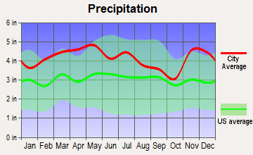 Calvert City, Kentucky average precipitation