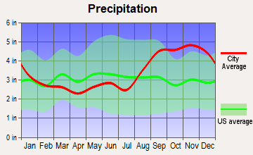 False Pass, Alaska average precipitation
