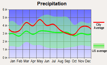 Hollow Creek, Kentucky average precipitation
