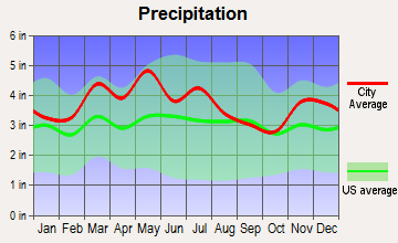 Minor Lane Heights, Kentucky average precipitation