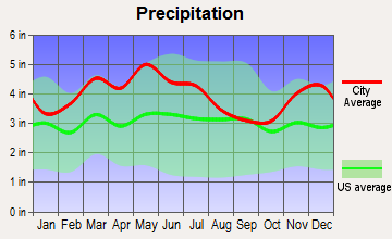 Shepherdsville, Kentucky average precipitation