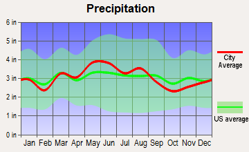 South Shore, Kentucky average precipitation