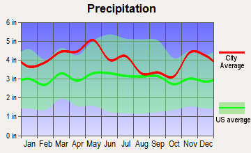 Whitesville, Kentucky average precipitation
