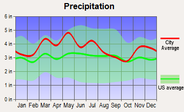 Audubon Park, Kentucky average precipitation