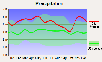 Fairdealing, Kentucky average precipitation