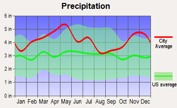 Hickory Grove, Kentucky average precipitation