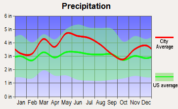 Bald Knob, Kentucky average precipitation