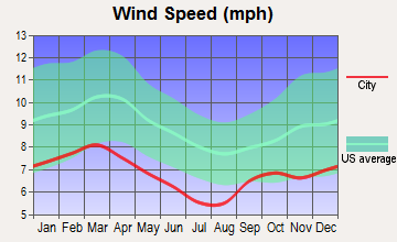 Jacob City, Florida wind speed